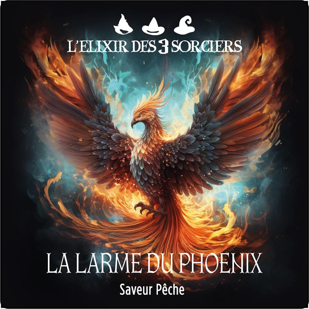 Logo Elixir Des 3 sorciers